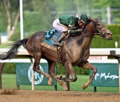 Golden Tempo, horse, Phipps Stable, Belmont Stakes, sábado, 6 de junio de 2026, Saratoga. Foto: Coglaniese Photo
