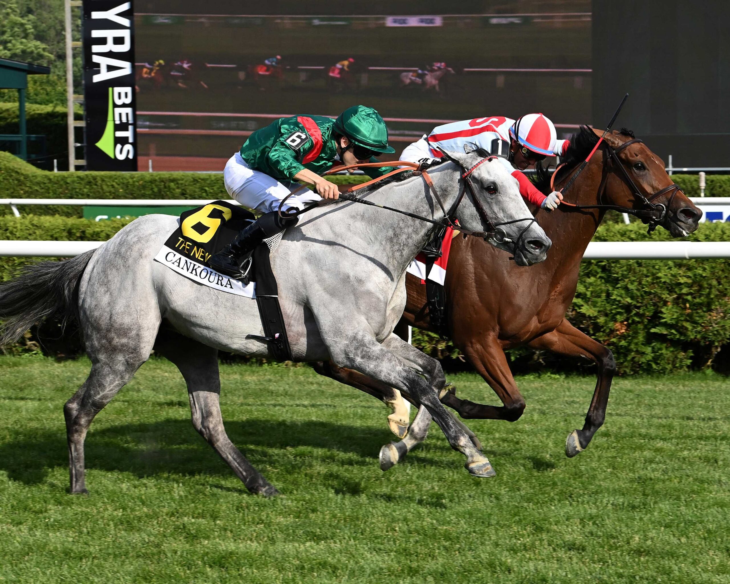 Portfolio Duration, horses, Night Of Thunder, New York Stakes, viernes, 5 de junio de 2026, Saratoga. Foto: Coglianese Photo
