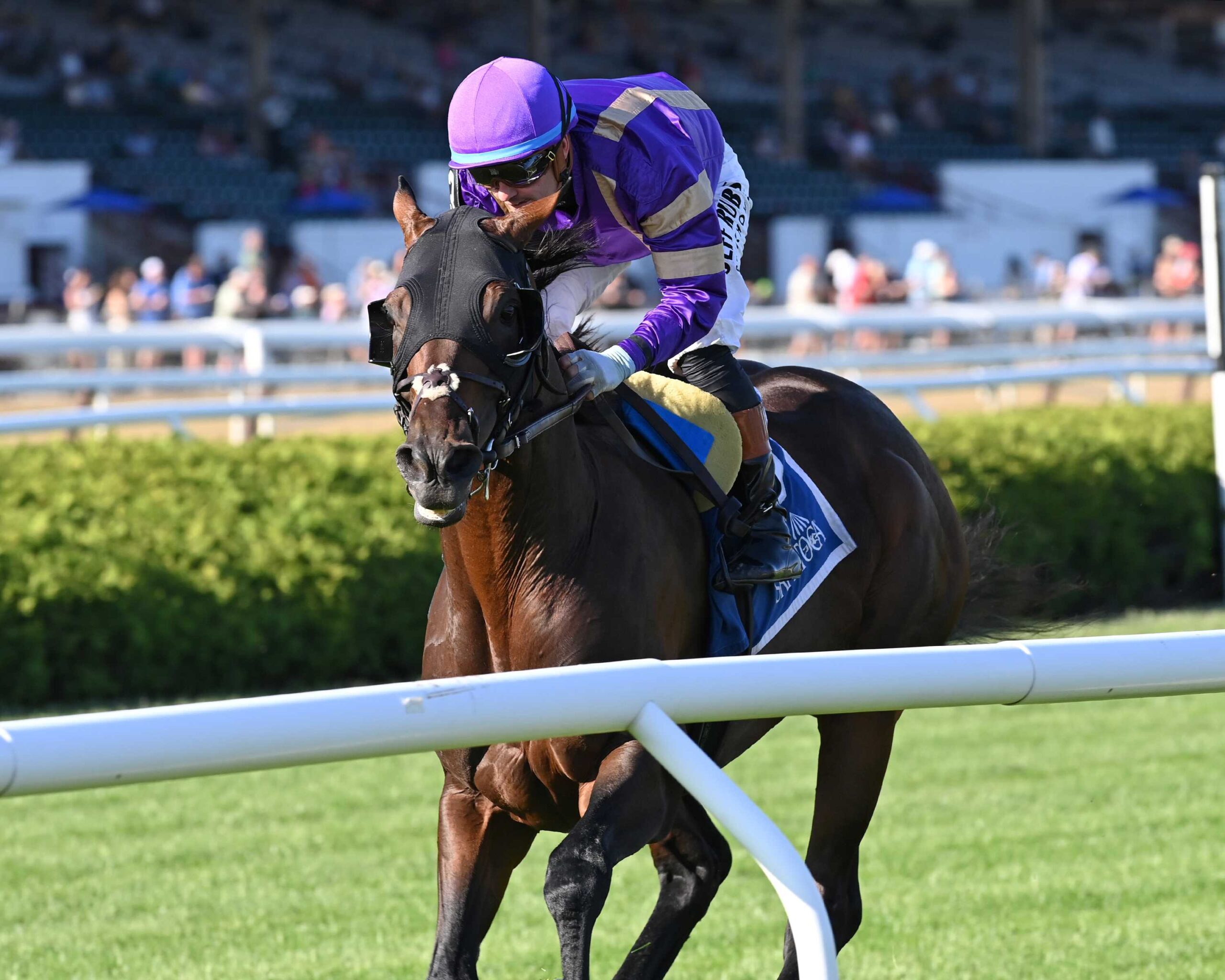Tawny Port, horses, WinStar Farm LLC, Belmont Gold Cup Stakes, jueves, 4 de junio de 2026, Saratoga. Foto: Coglianese Photo & Chelsea Durand