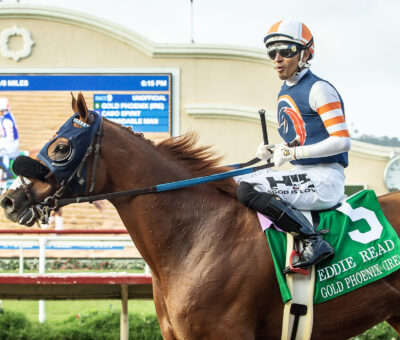 Gold Phoenix, Horses, Belardo, Eddie Read Stakes, domingo, 26 de julio de 2026, Del Mar Racing. Foto: Benoit Photo