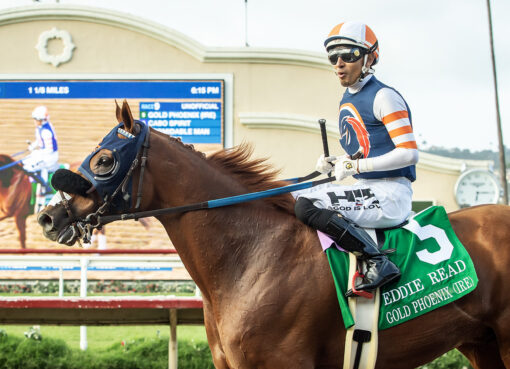 Gold Phoenix, Horses, Belardo, Eddie Read Stakes, domingo, 26 de julio de 2026, Del Mar Racing. Foto: Benoit Photo