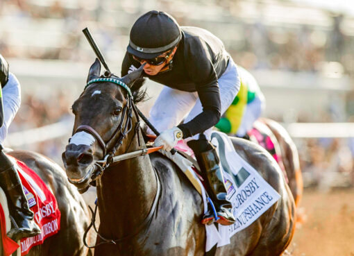 Listenupshance, horse, Shancelot, Bing Crosby Stakes, sábado, 25 de julio de 2026, Del Mar. Foto: Benoit Photo