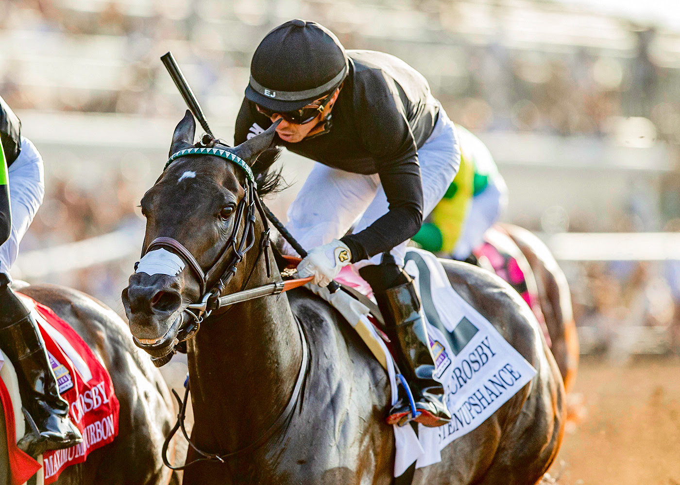 Listenupshance, horse, Shancelot, Bing Crosby Stakes, sábado, 25 de julio de 2026, Del Mar. Foto: Benoit Photo