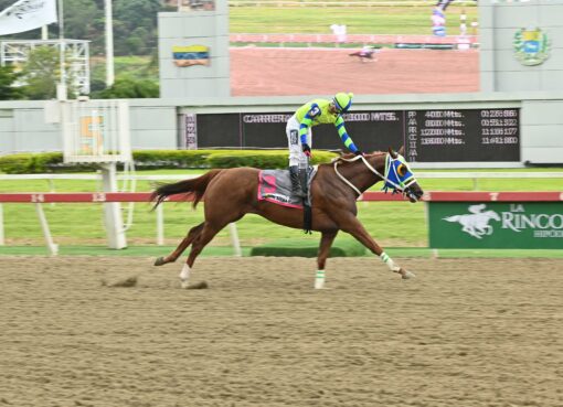 Madame Karina, horse, Caracaro, Clásico Prensa Hípica Nacional, domingo, 19 de julio de 2026, La Rinconada. Foto: José Antonio Aray