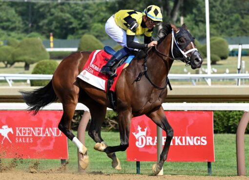 Maida, horse, Improbable, Honorable Miss Hándicap, domingo, 26 de julio de 2026, Saratoga. Foto: Coglaniese Photo