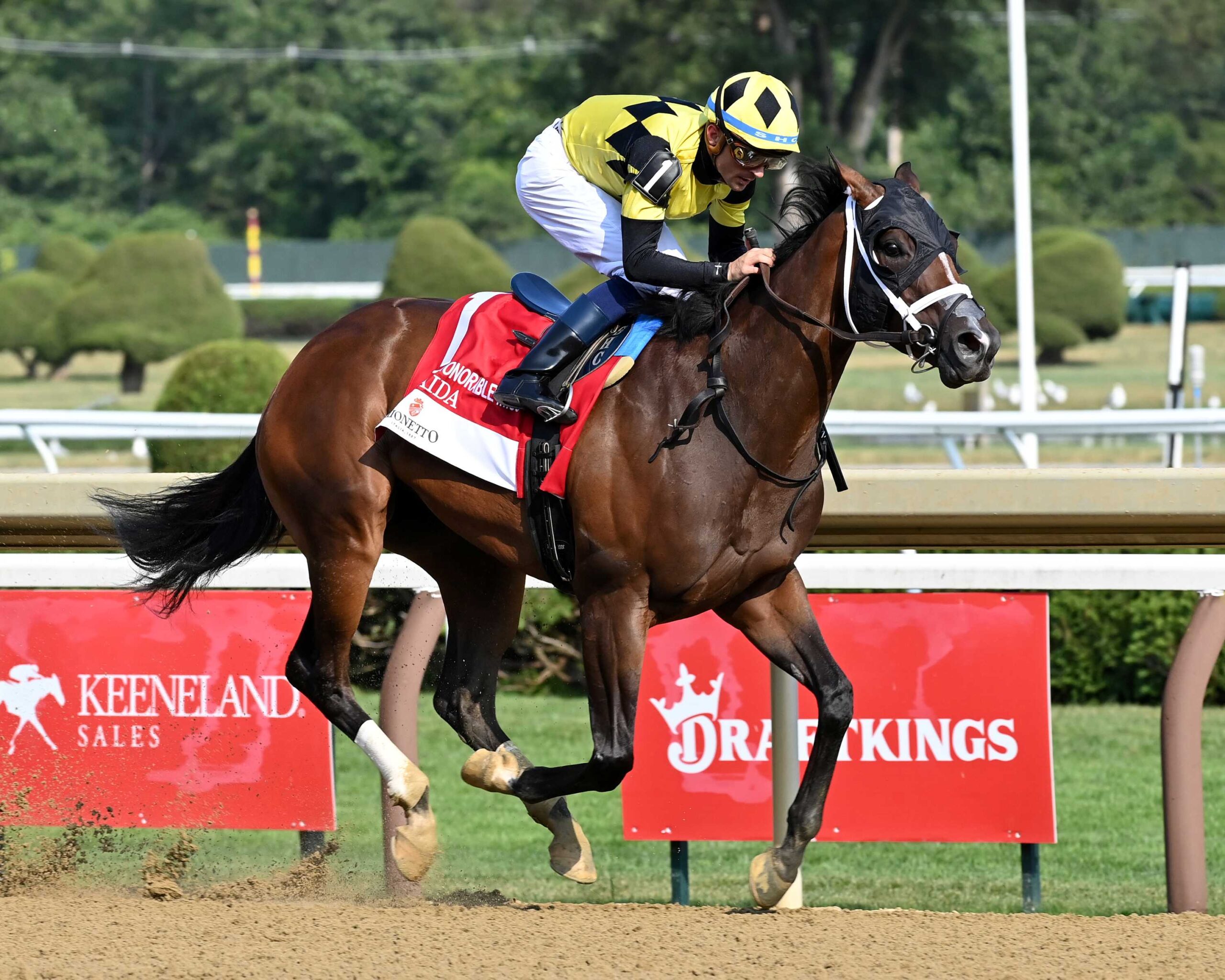 Maida, horse, Improbable, Honorable Miss Hándicap, domingo, 26 de julio de 2026, Saratoga. Foto: Coglaniese Photo