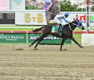 Marakovits, horse, Haras La Primavera, Clásico Armada Militar, domingo, 26 de julio de 2026, La Rinconada. Foto: José Antonio Aray