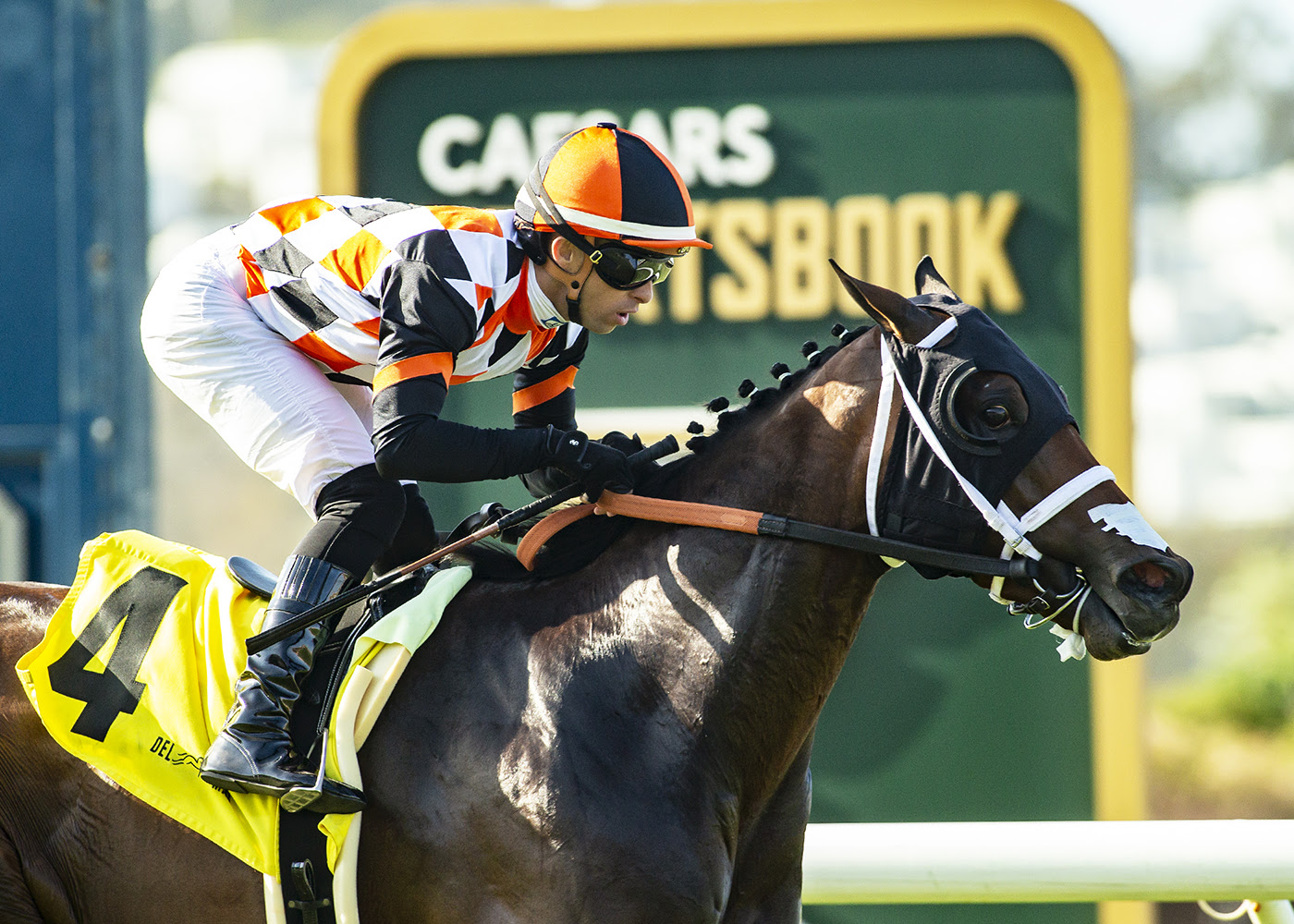 Proletariat, Horses, Raging Bull, Caesars Sportsbook Oceanside Stakes, viernes, 17 de julio de 2026, Del Mar. Foto: Benoit Photo