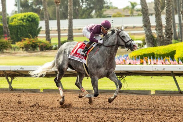 Sweet Azteca, Horses, Sharp Azteca, Great Lady M Stakes, sábado, 4 de julio de 2026, Los Alamitos. Foto: Benoit Photo