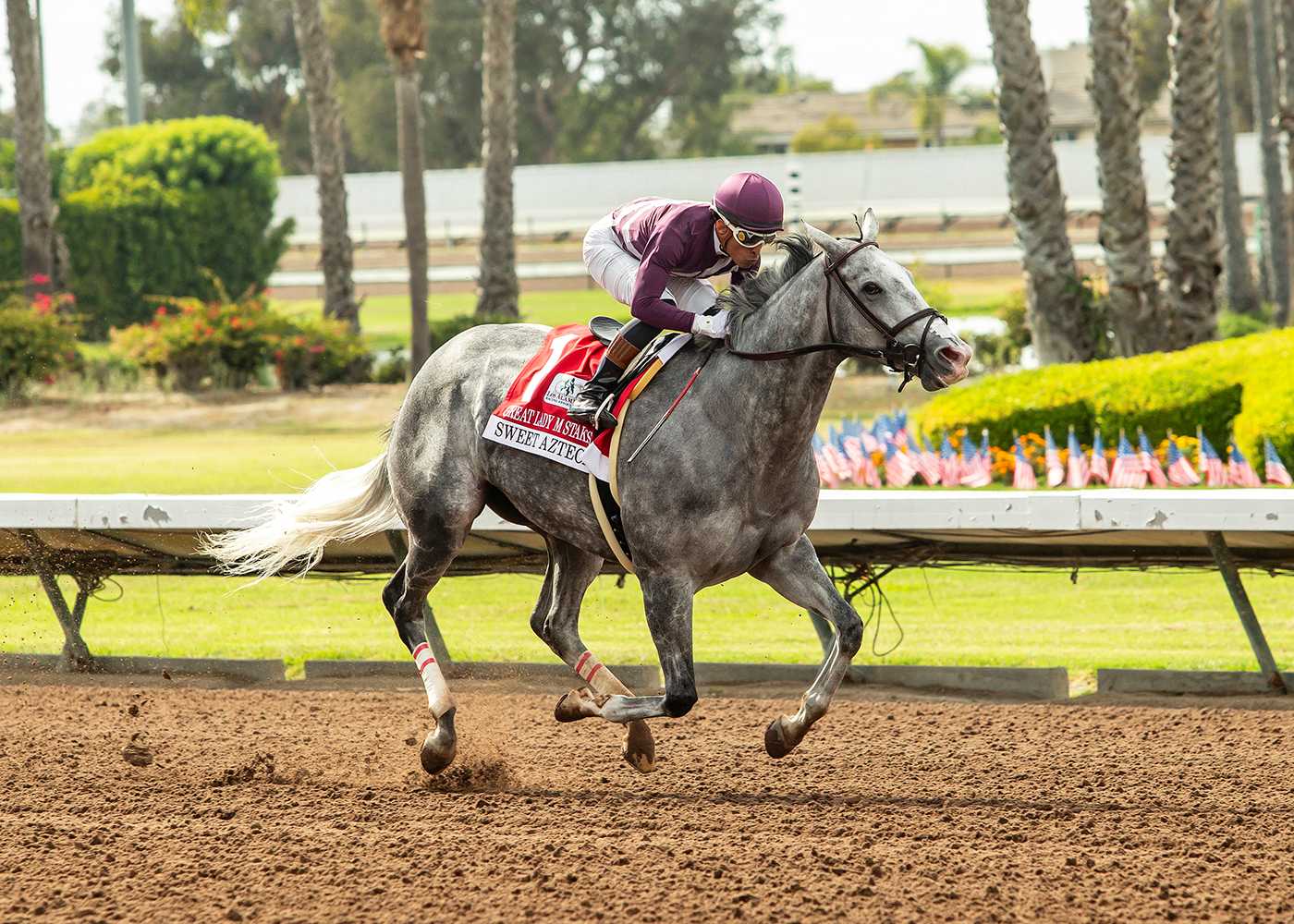 Sweet Azteca, Horses, Sharp Azteca, Great Lady M Stakes, sábado, 4 de julio de 2026, Los Alamitos. Foto: Benoit Photo