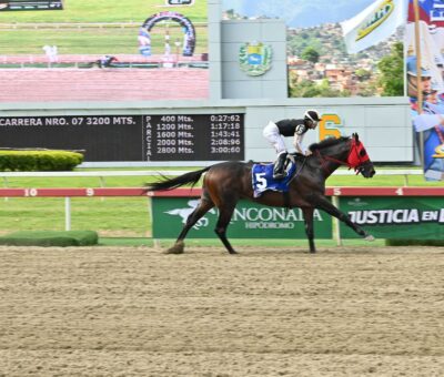 Tuscan Gold, horse, Stonestreet Thoroughbred Holdings, Clásico FAN, domingo, 19 de julio de 2026, La Rinconada. Foto: José Antonio Aray