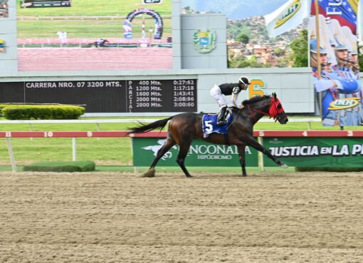 Tuscan Gold, horse, Stonestreet Thoroughbred Holdings, Clásico FAN, domingo, 19 de julio de 2026, La Rinconada. Foto: José Antonio Aray
