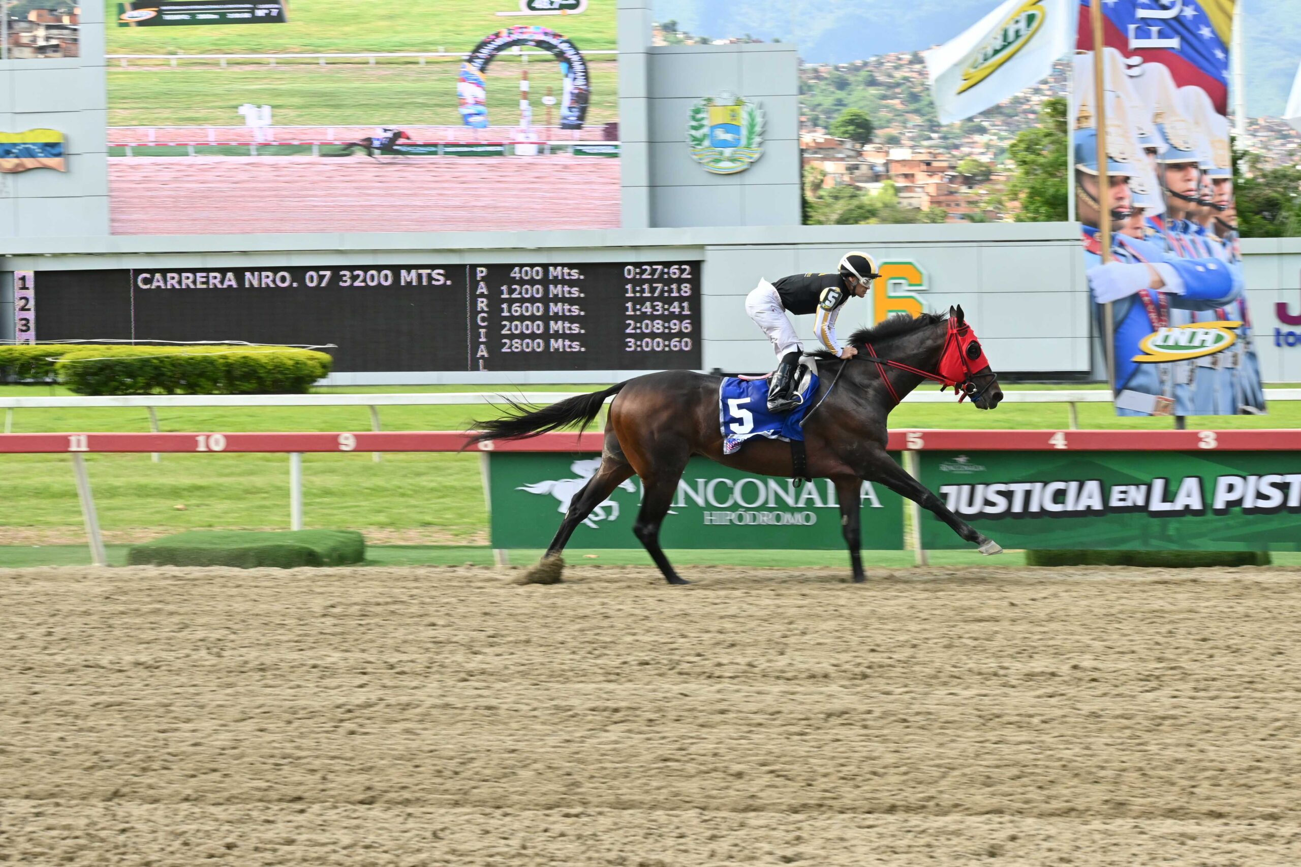Tuscan Gold, horse, Stonestreet Thoroughbred Holdings, Clásico FAN, domingo, 19 de julio de 2026, La Rinconada. Foto: José Antonio Aray