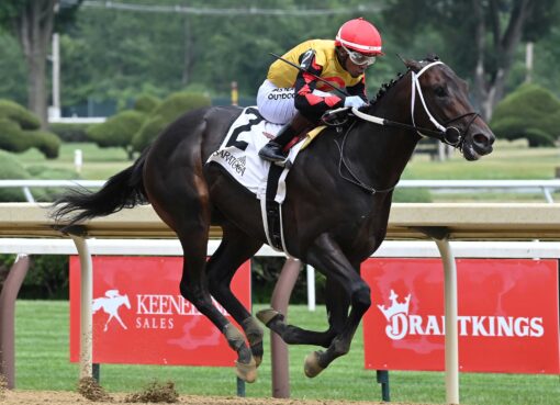 Booked, horse, Yaupon, Sanford Stakes, sábado, 4 de julio de 2026, Saratoga. Foto: Coglaniese Photo