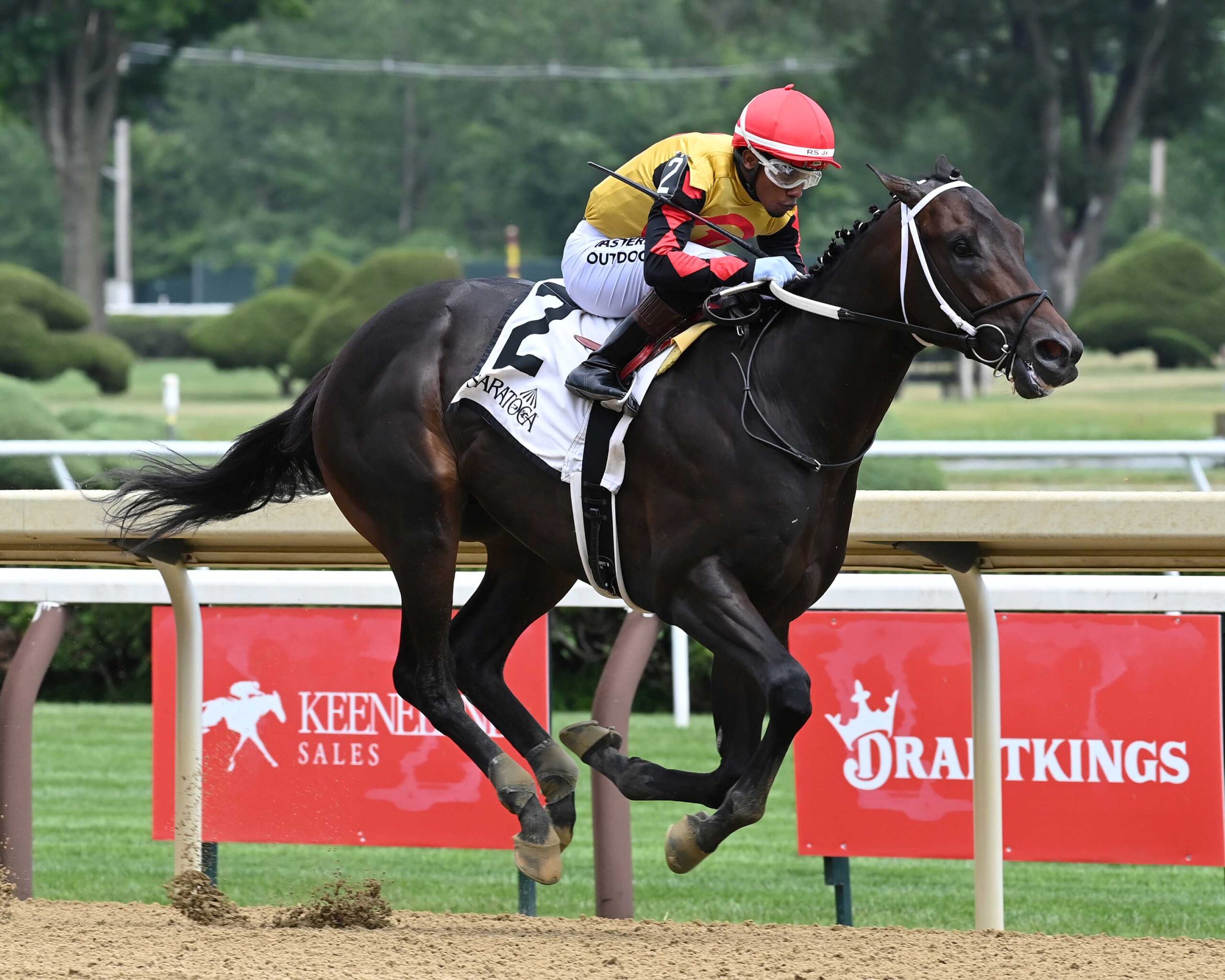 Booked, horse, Yaupon, Sanford Stakes, sábado, 4 de julio de 2026, Saratoga. Foto: Coglaniese Photo