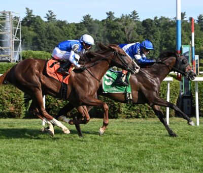 Chummers, horse, Combatant, Rick Violette Stakes, viernes, 24 de julio de 2026, Saratoga. Foto: Coglaniese Photo