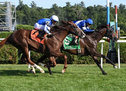Chummers, horse, Combatant, Rick Violette Stakes, viernes, 24 de julio de 2026, Saratoga. Foto: Coglaniese Photo