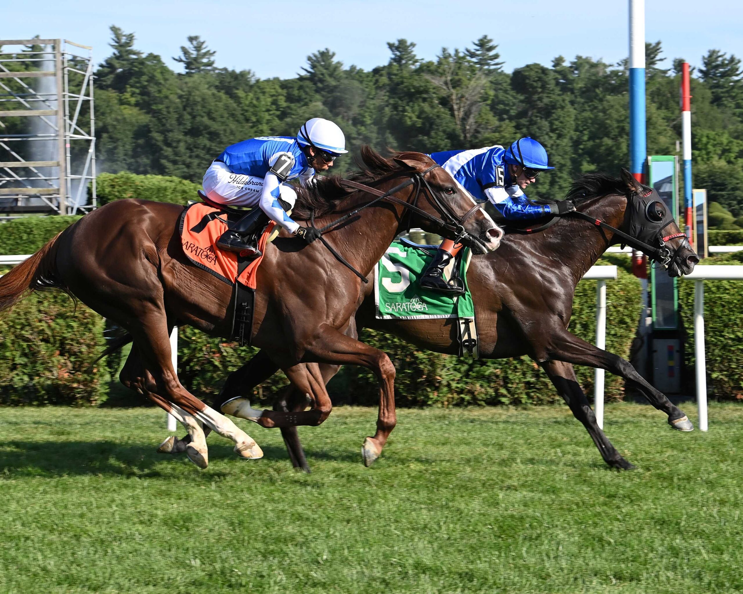 Chummers, horse, Combatant, Rick Violette Stakes, viernes, 24 de julio de 2026, Saratoga. Foto: Coglaniese Photo