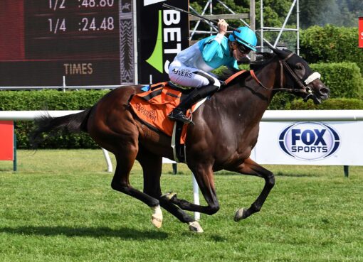 Cosmic Candy Girl, horse, Twirling Candy, Suzie O´Cain Stakes, jueves, 23 de julio de 2026, Saratoga. Foto: Coglaniese Photo