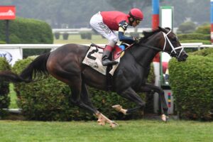Cy Fair, Horses, Not This Time, Coronation Cup Stakes, sábado, 18 de julio de 2026, Saratoga. Foto: Coglianese Photo