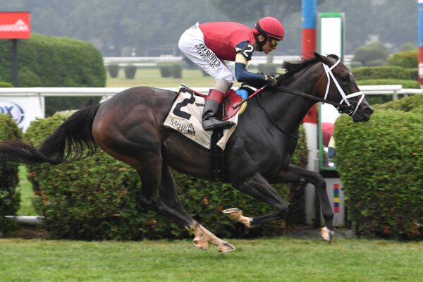Cy Fair, Horses, Not This Time, Coronation Cup Stakes, sábado, 18 de julio de 2026, Saratoga. Foto: Coglianese Photo