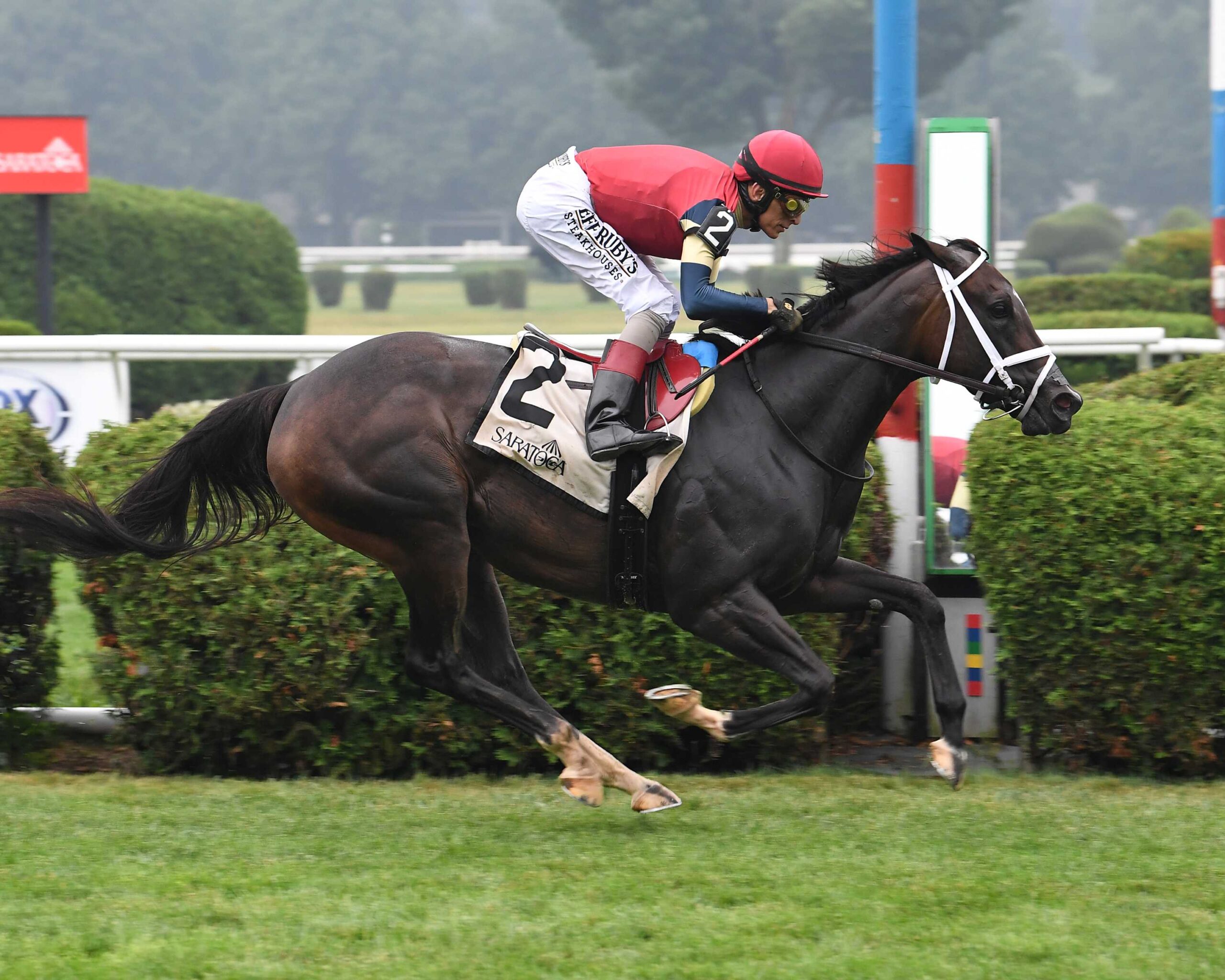 Cy Fair, Horses, Not This Time, Coronation Cup Stakes, sábado, 18 de julio de 2026, Saratoga. Foto: Coglianese Photo