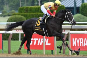 Harper´s Corner, horse, Speaker´s Corner, Schuylerville Stakes, viernes, 3 de julio de 2026, Saratoga. Foto: Coglaniese Photo