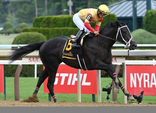 Harper´s Corner, horse, Speaker´s Corner, Schuylerville Stakes, viernes, 3 de julio de 2026, Saratoga. Foto: Coglaniese Photo