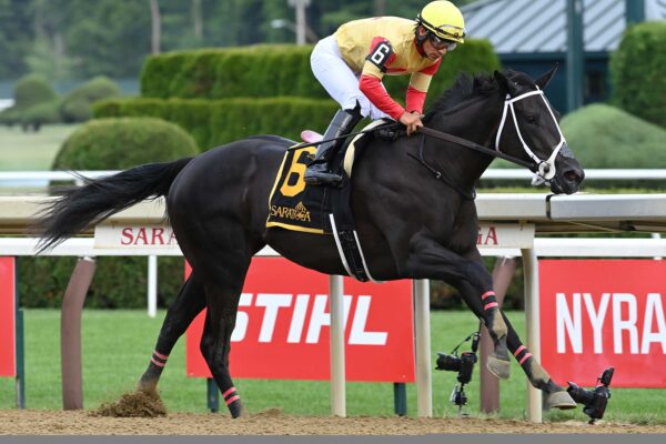Harper´s Corner, horse, Speaker´s Corner, Schuylerville Stakes, viernes, 3 de julio de 2026, Saratoga. Foto: Coglaniese Photo
