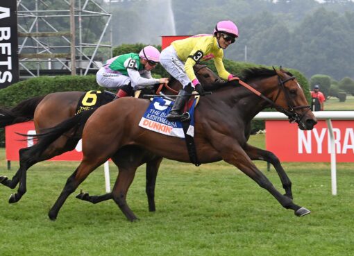 Kathynmarissa, horses, Don Alberto Corporation, Dunkin´ Diana Stakes, sábado, 18 de julio de 2026, Saratoga. Foto: Coglianese Photo