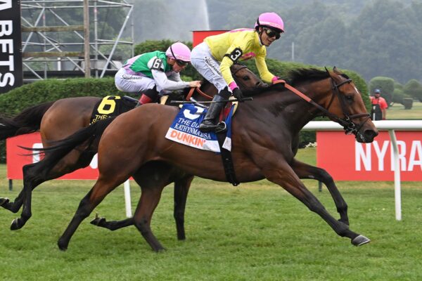 Kathynmarissa, horses, Don Alberto Corporation, Dunkin´ Diana Stakes, sábado, 18 de julio de 2026, Saratoga. Foto: Coglianese Photo