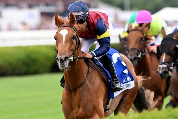 Kensington Lane, horse, Starspangledbanner, Belmont Oaks Stakes, sábado, 4 de julio de 2026, Saratoga. Foto: Coglianese Photo & Chelsea Durand