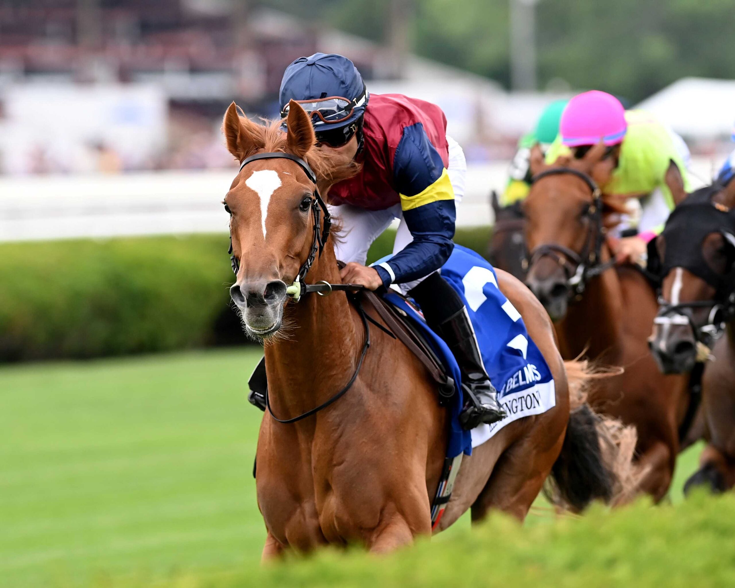 Kensington Lane, horse, Starspangledbanner, Belmont Oaks Stakes, sábado, 4 de julio de 2026, Saratoga. Foto: Coglianese Photo & Chelsea Durand