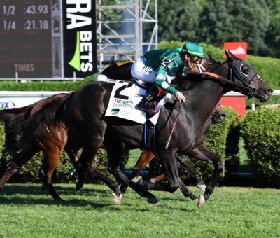 Learntodiscover, horses, Havana Grey, Quick Call Stakes, domingo, 19 de julio de 2026, Saratoga. Foto: Coglianese Photo