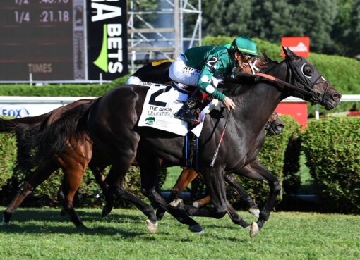 Learntodiscover, horses, Havana Grey, Quick Call Stakes, domingo, 19 de julio de 2026, Saratoga. Foto: Coglianese Photo