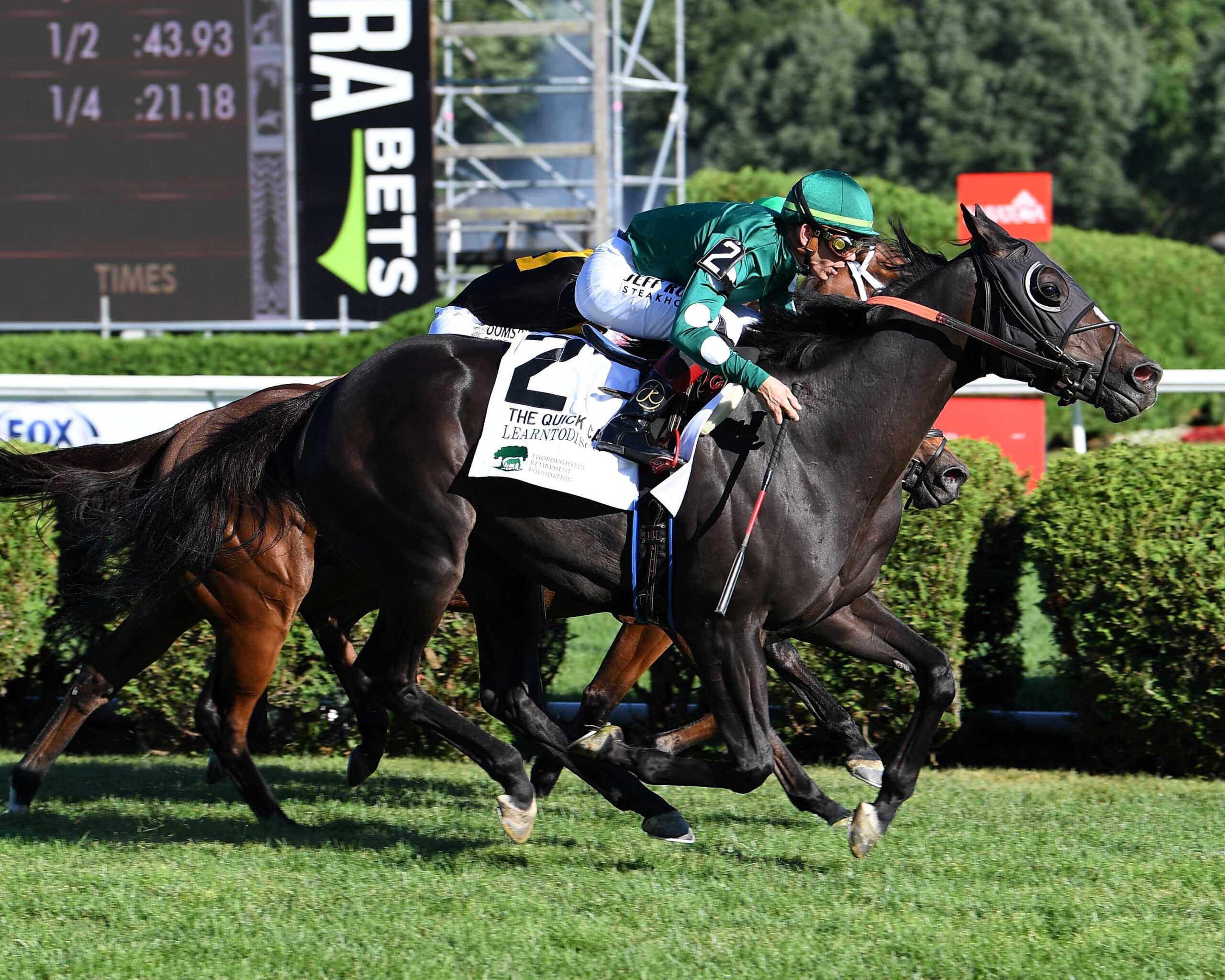 Learntodiscover, horses, Havana Grey, Quick Call Stakes, domingo, 19 de julio de 2026, Saratoga. Foto: Coglianese Photo