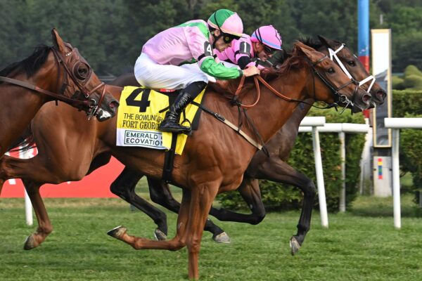 Ole Crazy Bone, horse, Ghostzapper, Bowling Green Stakes, sábado, 11 de julio de 2026, Saratoga. Foto: Coglaniese Photo
