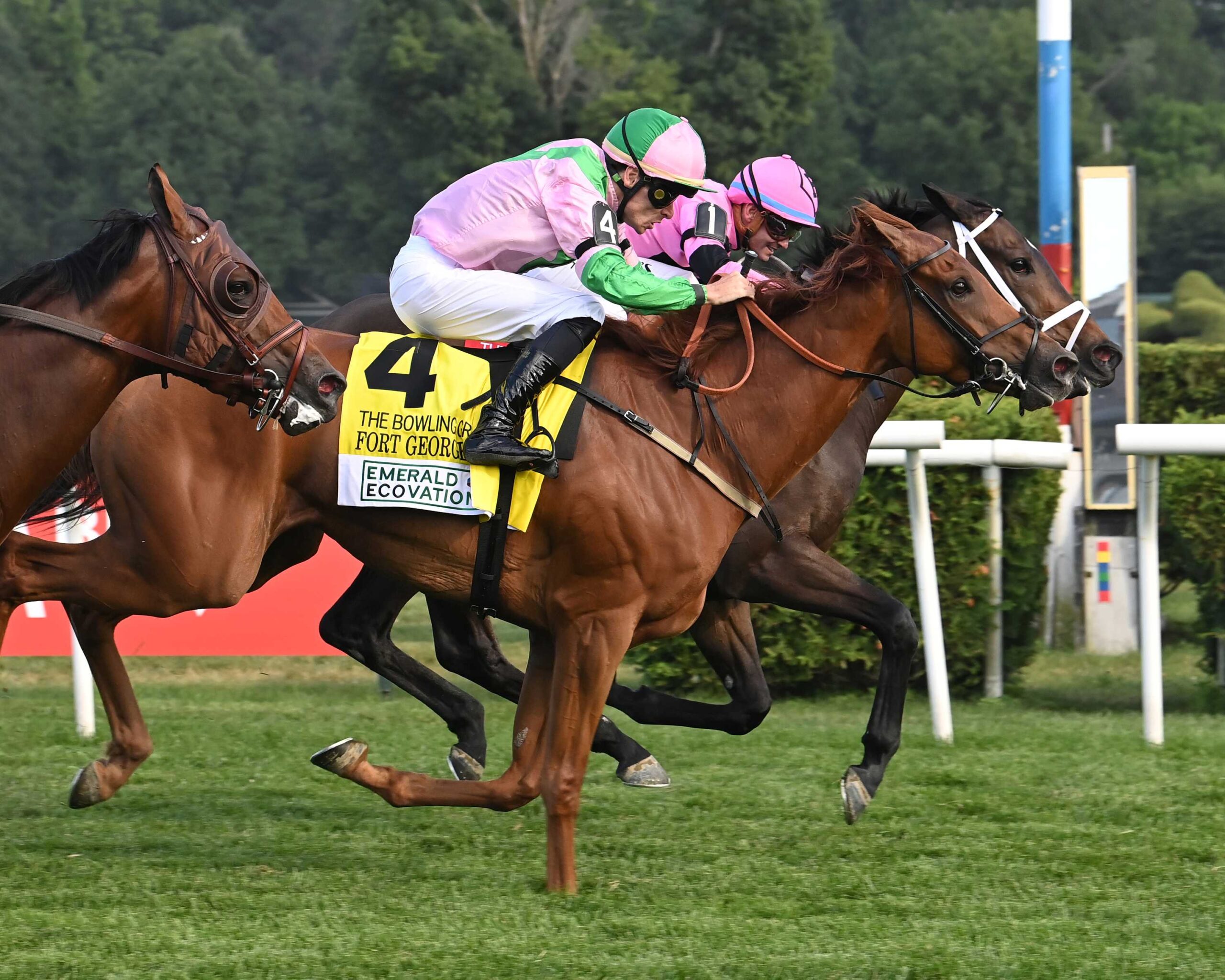 Ole Crazy Bone, horse, Ghostzapper, Bowling Green Stakes, sábado, 11 de julio de 2026, Saratoga. Foto: Coglaniese Photo