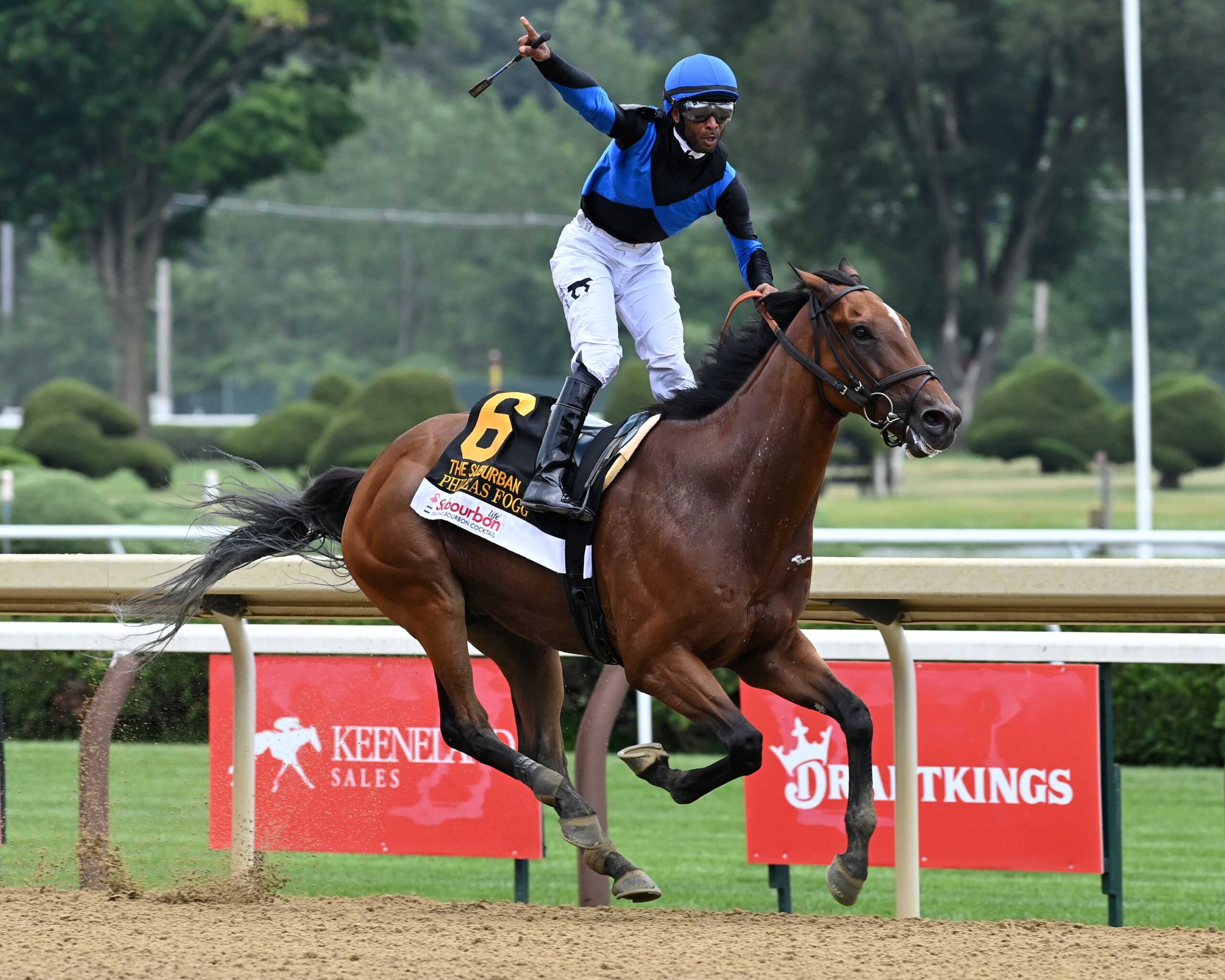 Phileas Fogg, horse, Godolphin, Suburban Stakes, sábado, 4 de julio de 2026, Saratoga. Foto: Coglianese Photo