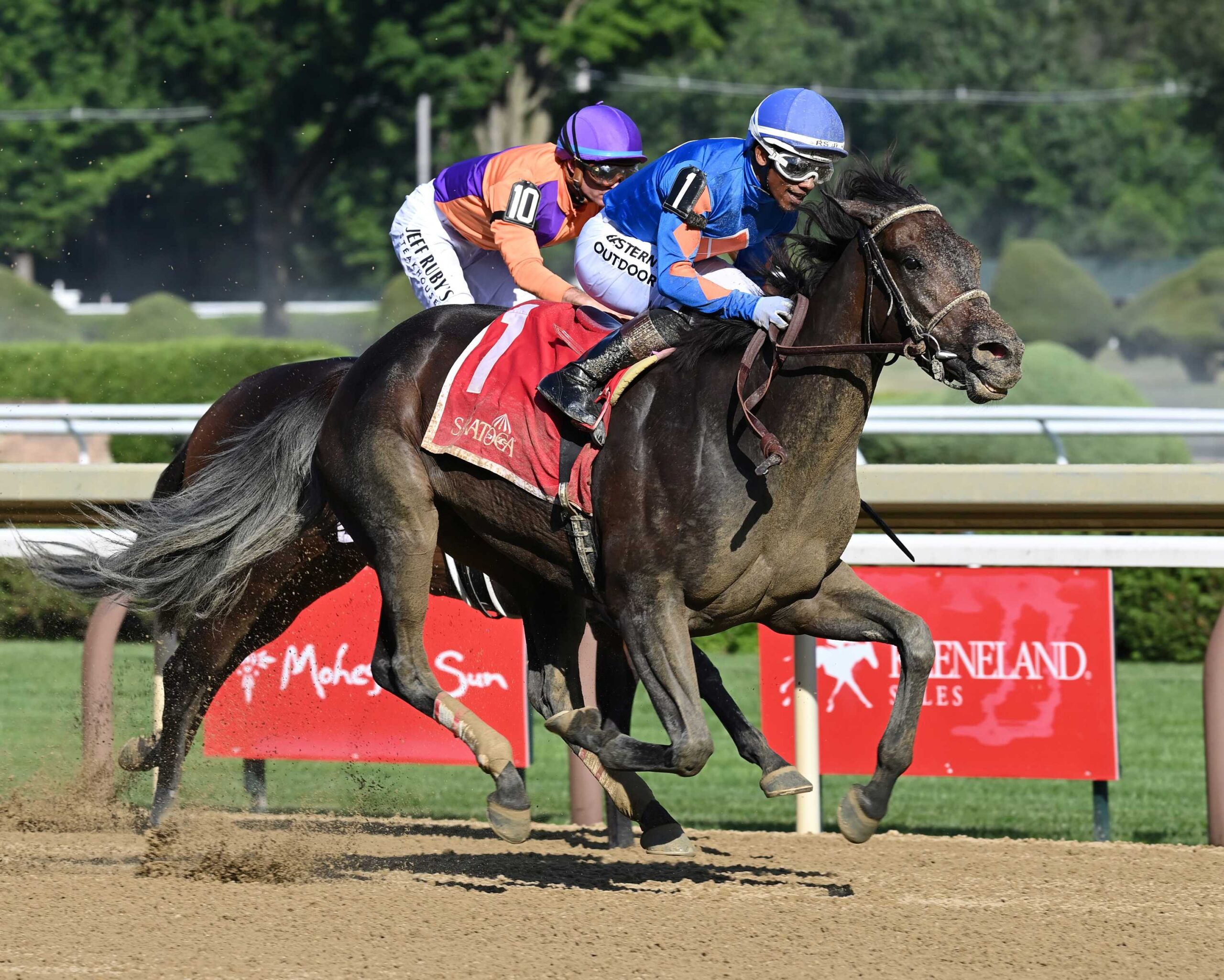 Sippin Pretty, horse, Yaupon, Victory Ride Stakes, viernes, 10 de julio de 2026, Saratoga. Foto: Coglaniese Photo