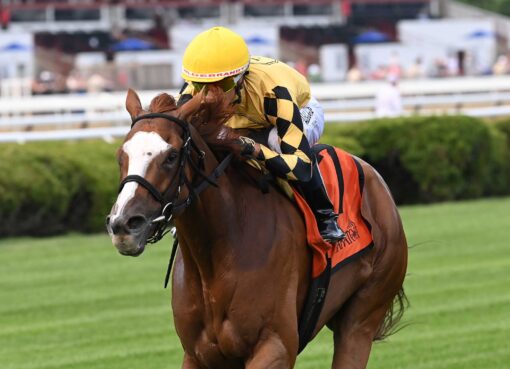To A Flame, horses, Justify, Wild Applause Stakes, viernes, 3 de septiembre de 2026, Saratoga. Foto: Coglaniese Photo & Chelsea Durand