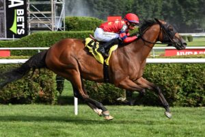 Twenty Six Black, horse, War Dancer, Harvey Pack Stakes, domingo, 5 de julio de 2026, Saratoga. Foto: Coglaniese Photo