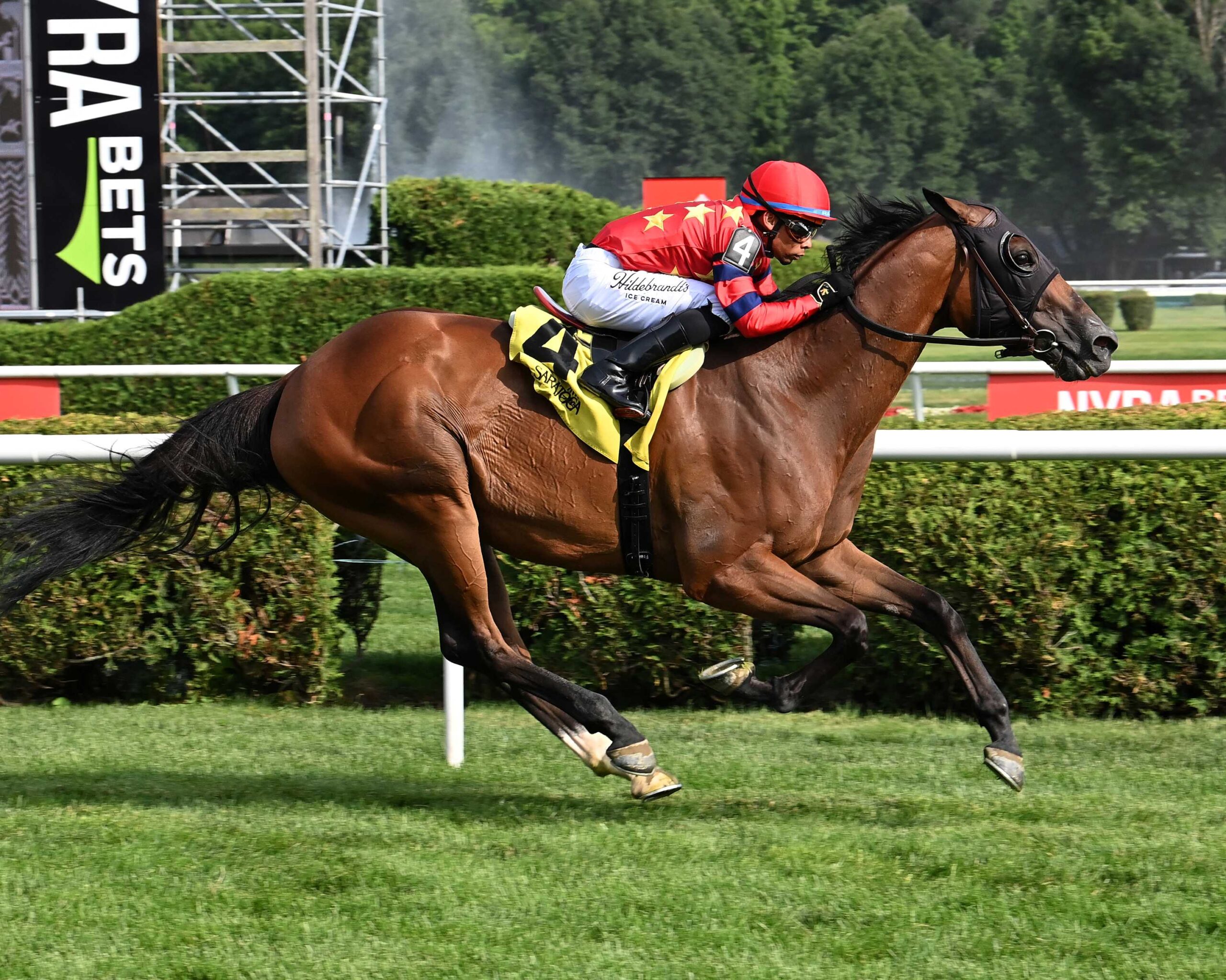 Twenty Six Black, horse, War Dancer, Harvey Pack Stakes, domingo, 5 de julio de 2026, Saratoga. Foto: Coglaniese Photo