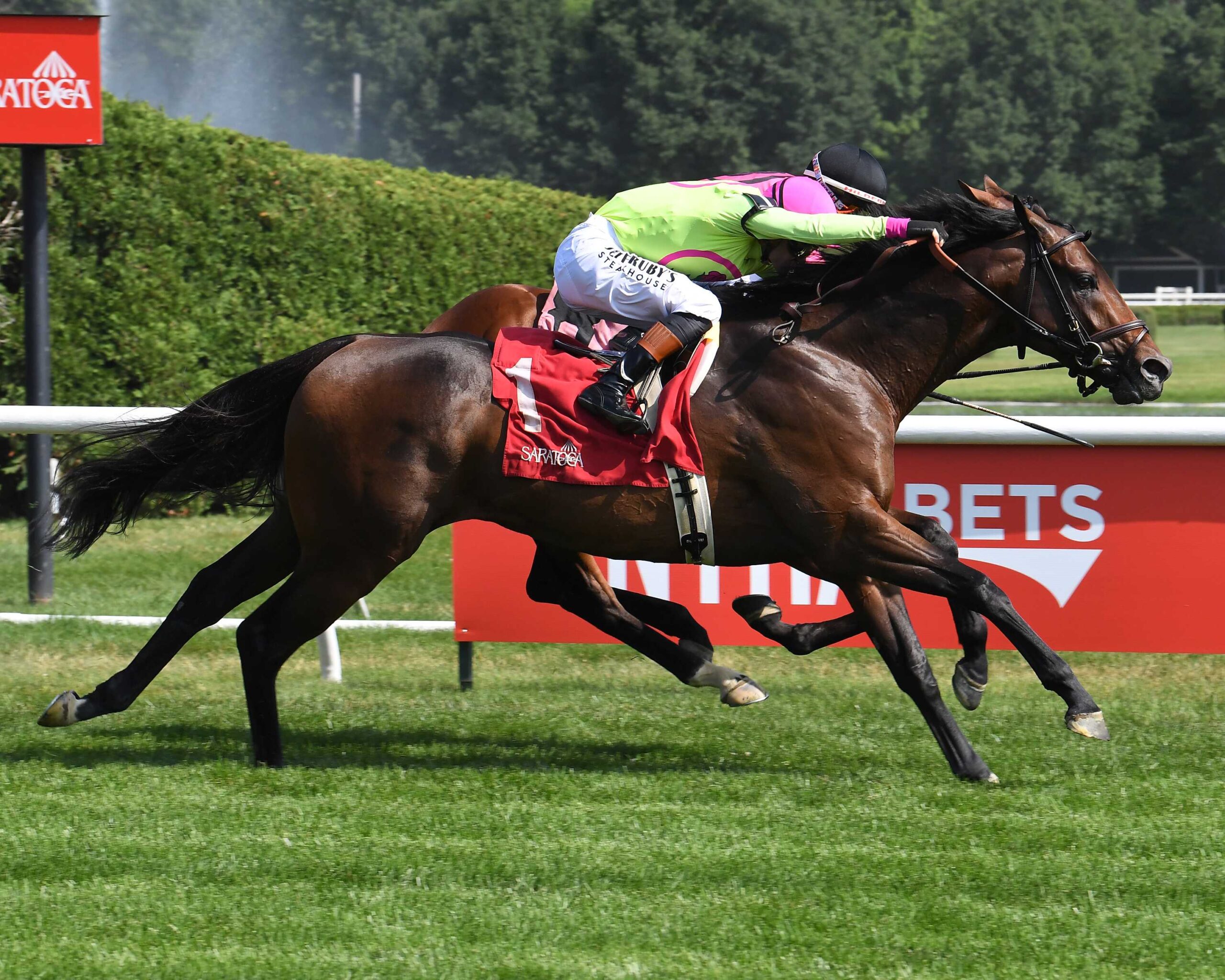 Mi Bago, horse, Vekoma, Kelso Stakes, sábado, 6 de julio de 2026, Saratoga. Foto: Coglianese Photo
