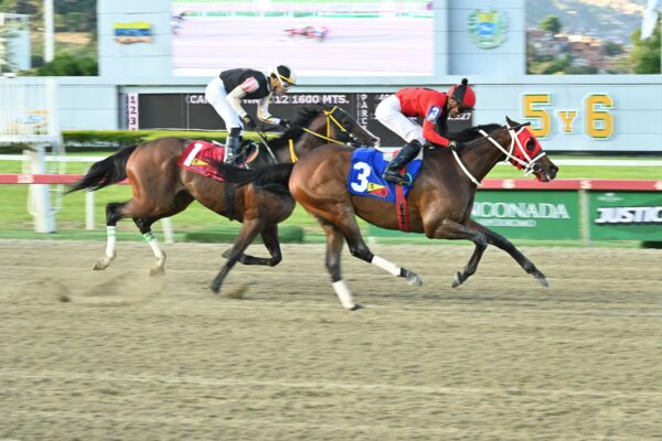 Ekati King, horse, Girvin, Clásico Guardia Nacional, domingo, 2 de agosto de 2026, La Rinconada. Foto: José Antonio Aray