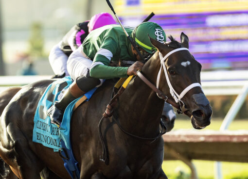 Eunomia, Horses, St. Elias Stables LLC, Clement L. Hirsch Stakes, sábado, 1 de agosto de 2026, Del Mar. Foto: Benoit Photo