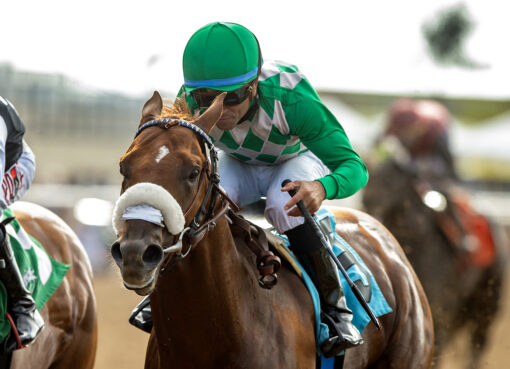 He´s A Knockout, horse, Smiling Tiger, Bing Crosby Stakes, viernes, 31 de julio de 2026, Del Mar. Foto: Benoit Photo