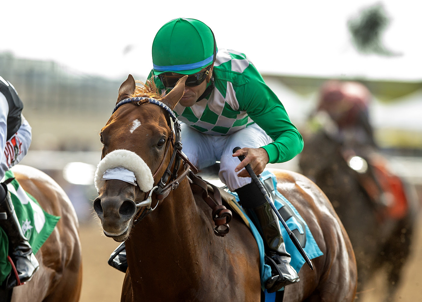 He´s A Knockout, horse, Smiling Tiger, Bing Crosby Stakes, viernes, 31 de julio de 2026, Del Mar. Foto: Benoit Photo