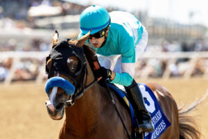 Hughes, horse, Into Mischief, Best Pal Stakes, sábado, 8 de agosto de 2026, Del Mar. Foto: Benoit Photo