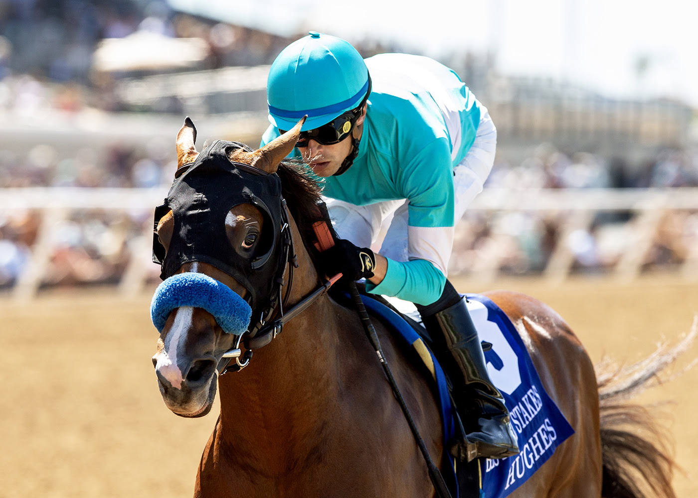 Hughes, horse, Into Mischief, Best Pal Stakes, sábado, 8 de agosto de 2026, Del Mar. Foto: Benoit Photo